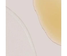 „Dermalogica Phyto Nature“ stangrinamasis veido serumas, 40 ml