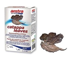 Amtra Pro Nature Catappa lapai 30vnt