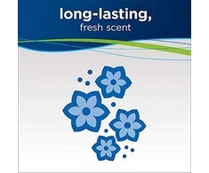 Kilimų ir baldų valymo priemonė Bissell Wash &amp; Refresh Febreze Formula, 1,5L