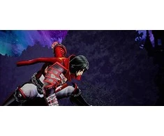 505 Games Bloodstained: Ritual of the Night PS4