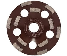 Bosch Deim.šlif.diskas, Expert 125 x 22.23 mm, Abrasive