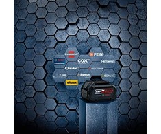 Bosch Akumuliatorius 2607336906