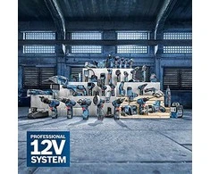 Ekscentrinis šlifuoklis Bosch GEX 12V-125, be akumuliatoriaus ir kroviklio