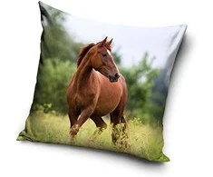 Carbotex Pagalvės užvalkalas 40x40 Arkliai arkliai poniai