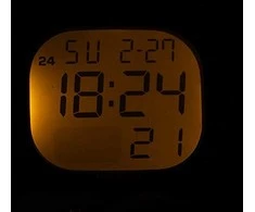 Laikrodis CASIO LW-203-1BVEF