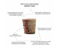 Click and Grow 3 vnt. papildymas - lobuliarijos sėklos