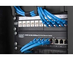 Digitus | Wall-mounted housing 254 mm (10") - 312 x 300 mm | DN-10-09U-B