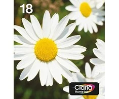 Epson 18 Multipack Ink cartridge, Juodas, žalsvai mėlyna, purpurinė, geltona