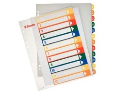 Plastikiniai spalvoti skiriamieji lapai ESSELTE, 1-12, A4, MAXI