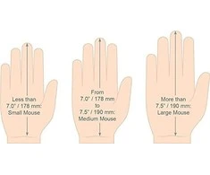 Evoluent Vertikali pelė D VMDLW large right hand wireless