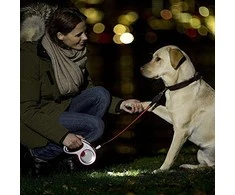 Flexi LED Lighting System žibintuvėlis tinkantis S, M ir L pavadėliams
