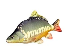 Gaby Žaislas EnergoFish Pillow Carp 60cm