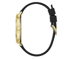 Laikrodis Watches GUESS GENTS W1161G1