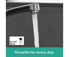 Hansgrohe „Focus 160“ virtuvinis maišytuvas, chromuotas