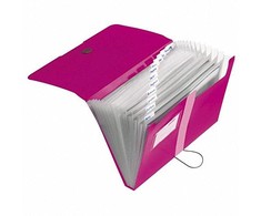 Herlitz Failas A4, Rausvas (11217114)
