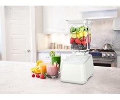 Blendtec kokteilinė Designer 625 Polar Baltas