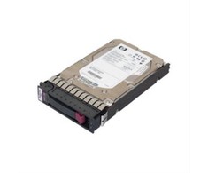 Hewlett Packard (HP) HP Hewlett Packard Enterprise 450GB 15.000Rpm SAS 3.5" DP