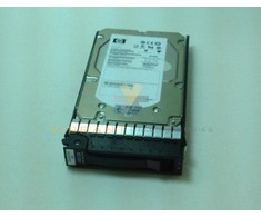 Hewlett Packard (HP) HP 450 GB 3,5 colio SAS-1 (3 Gb/s) serverio diskas (454274-001)