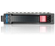 Hewlett Packard (HP) HD diskai HP, 500GB 655708-B21/ DEL1003944