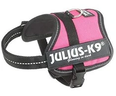 Trixie diržai Julius-K9, Baby 2/Xs-S: 33-45 cm, fuksija