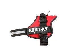 Trixie Petnešos Julius-K9, 2/L–XL: 71–96 cm, raudonos sp.