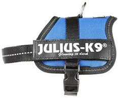 Trixie Braketai šuniukams Julius- K9 2 / XS- S: 33- 45 cm, mėlyna