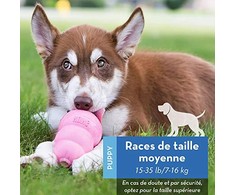 KONG Puppy guminis žaislas šuniukams, M
