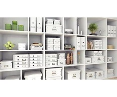 Leitz - Click Store kubo formos daiktadėžė, vidutinė