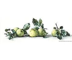 luca S Natūrmortas su obuoliais SB2259
