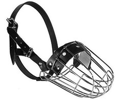 Dino antsnukis metalas - 4a Collie