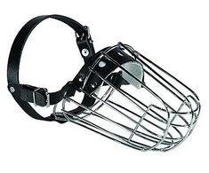 Dino Metalinis snukis - 5 dobermanas