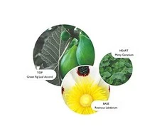Molton Brown Kūno losjonas "Geranium Nefertum" ("Losjonas kūnui") 300 ml
