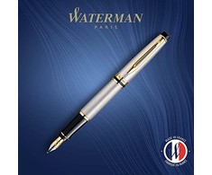 Waterman Expert nerūdijančio plieno GT užpildomas plunksnakotis su šratu