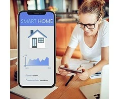 Qubino 1-fazės su-wave išmanusis elektros energijos sąnaudų matuoklis ZMNHTD1