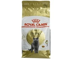 Royal Canin British Shorthair 2kg