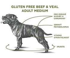Sam's Field Adult Medium jautiena&amp;Veal sausas Maistas šunims 13 kg