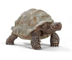 Schleich figūrėlė Galapagų vėžlys