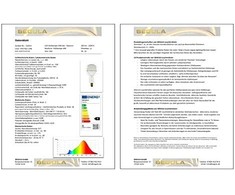Segula Rinkinys Rinkinys 55253 LED lempa 3 W E27 F
