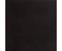 StarTech (RK219WALLV)