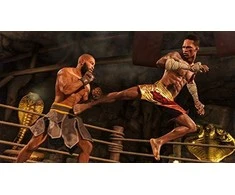 Electronic Arts PS4 UFC 4