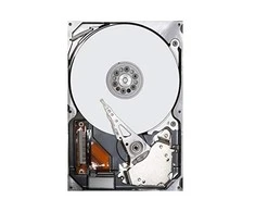 Sandisk Kietasis Diskas (HDD) - Western Digital Ultrastar DC HC330 10TB 7200RPM 12Gb/s SAS 256MB Atmintis