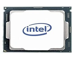 „Intel Xeon E-2378G“ procesorius, 2,8 GHz, 16 MB išmaniosios talpyklos