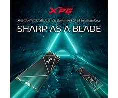 Kietasis diskas Adata XPG Gammix S70 Blade M.2 NVMe PCIe4x4, 1TB