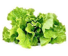 Click And Grow Click &amp; Grow Click &amp; Grow Smart Garden pildomas salotos 3vnt