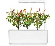 Click &amp; Grow sėklos išmaniajam vazonui - Raudonieji aštrieji čili pipirai (SGR52x3) 3vnt.