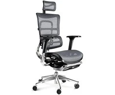 Ergonominė žaidimų/biuro kėdė Diablo V-Master, Juoda-pilka