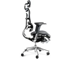 Ergonominė žaidimų/biuro kėdė Diablo V-Master, Juoda-pilka