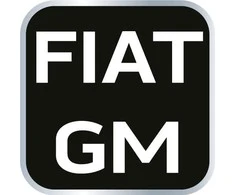Neo Tools Rinkinys Variklių laikmačio nustatymo įrankių rinkinys Fiat/GM benzininiams varikliams