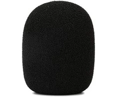 Rode WS2 windshield