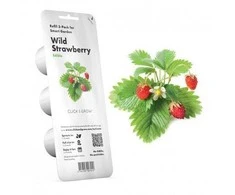 Click &amp; Grow sėklos išmaniajam braškių vazonui  SHGR24x3 3vnt.